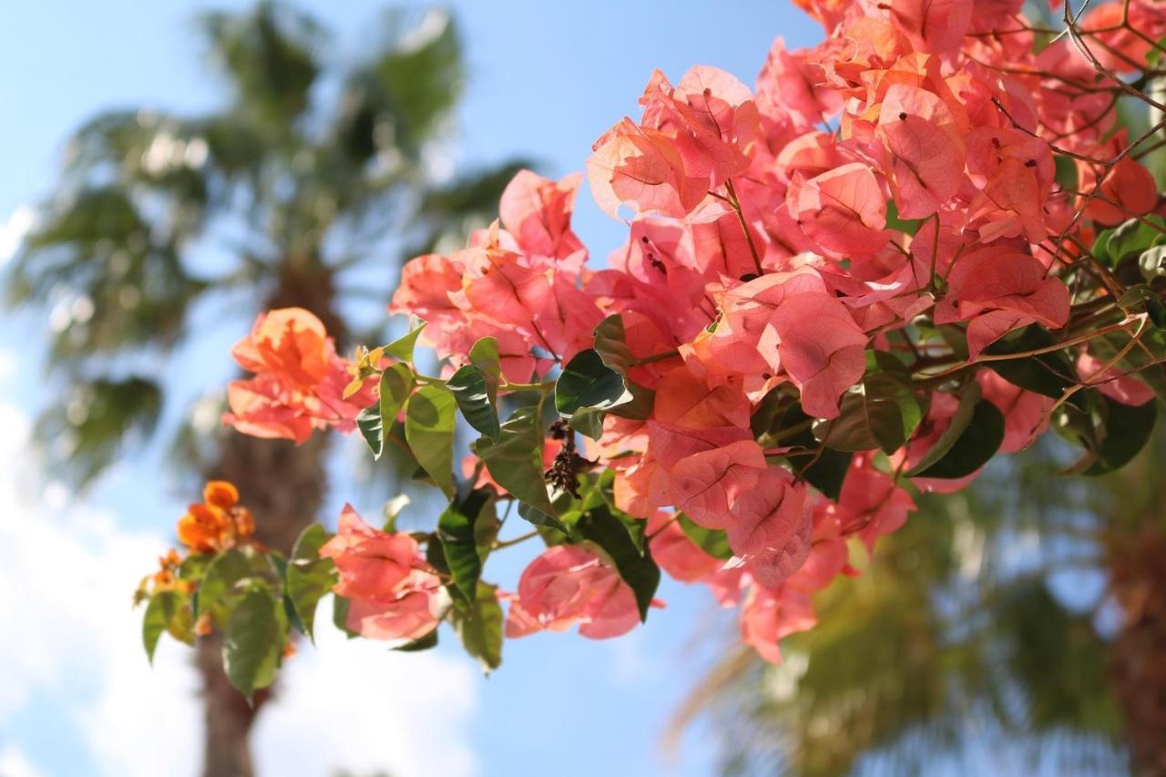 Holiday home Cala Serena 6 Cala Serena (Mallorca)